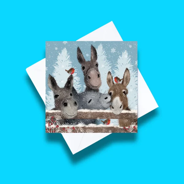 Donkeys and Robins Christmas cards (Pack of 10)